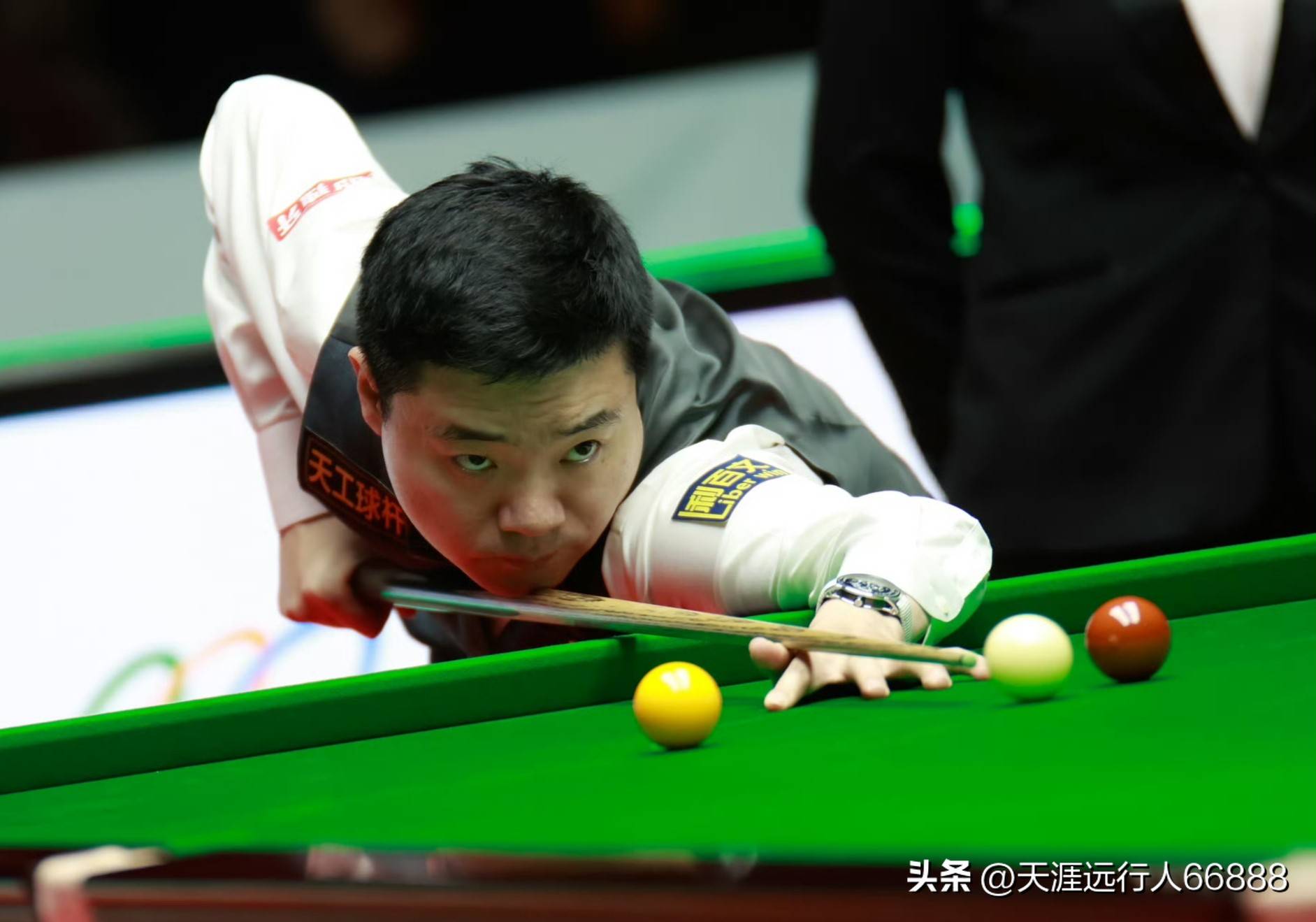 首届金华马 首届金华马